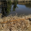 Prvn� jarn� retro plavan� (9.4 2012).                               ..pln� bambusov� prut  VYSO�INA,kole�ko Tokoz s�rie Black Seal a hus� brk.