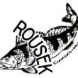 Logo firmy ROUSEK.                                                       Tokoz toto logo p�evzal - upravil a pou��val.