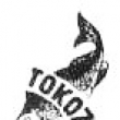 Druh logo n.p.Tokoz.