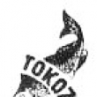 Druh� logo n.p.Tokoz.
